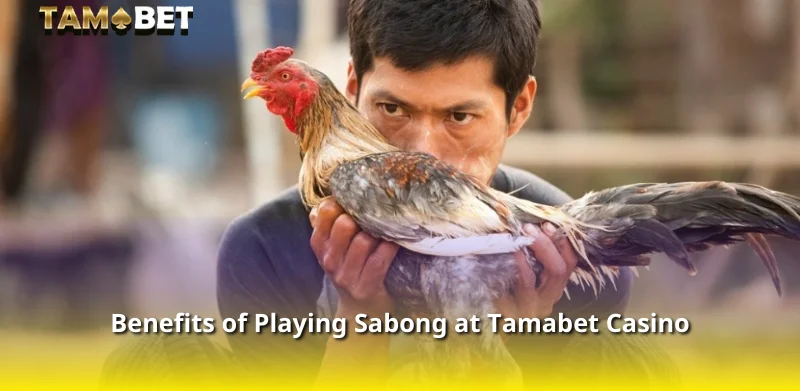 Benefits of Playing Sabong at Tamabet Casino