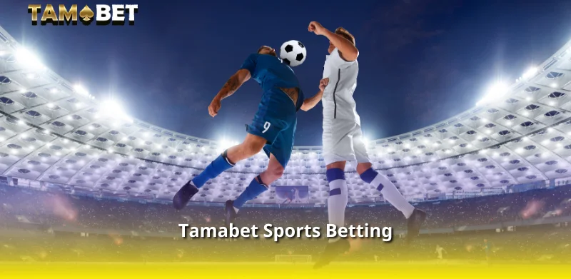 Tamabet Sports Betting