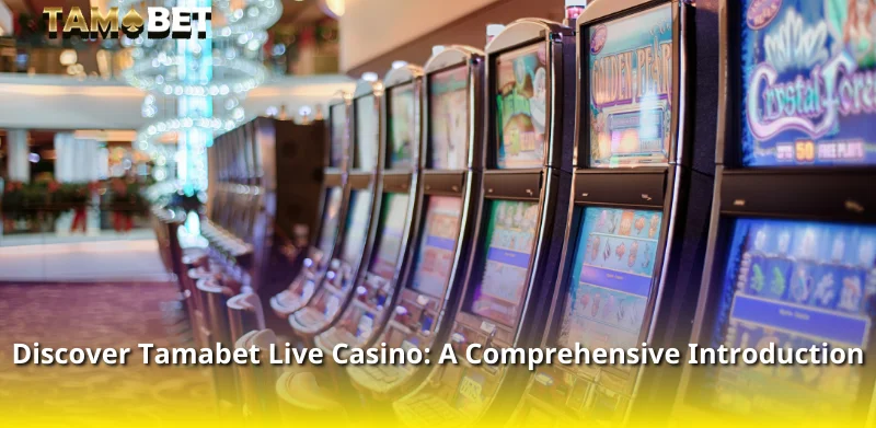 Discover Tamabet Live Casino: A Comprehensive Introduction