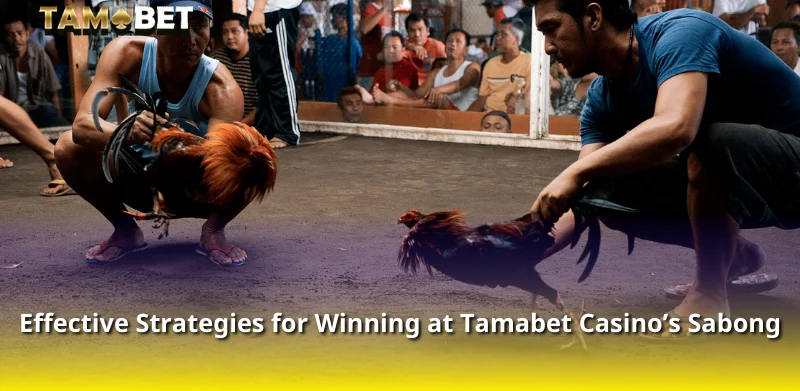 Effective Strategies for Winning at Tamabet Casino’s Sabong