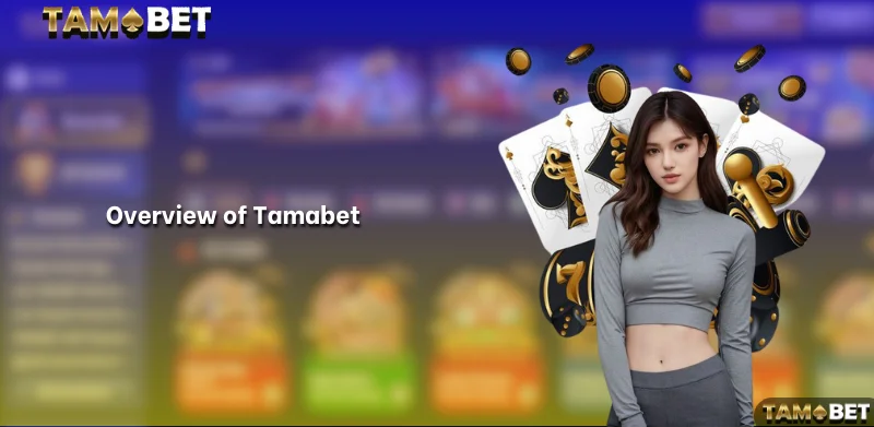 Overview of Tamabet Official