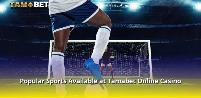 Popular Sports Available at Tamabet Online Casino