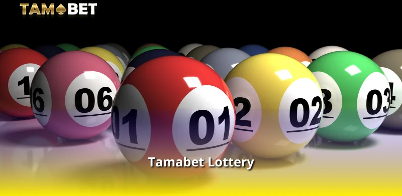 Tamabet Lottery