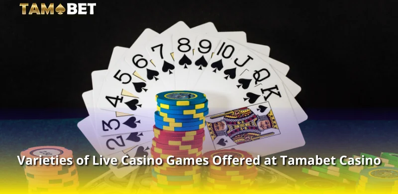 Varieties of Live Casino Games Offered at Tamabet Casino